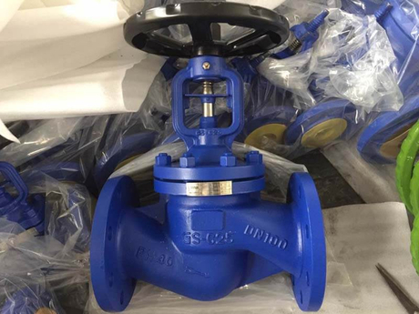 din standard bellow seal globe valve 3.jpg